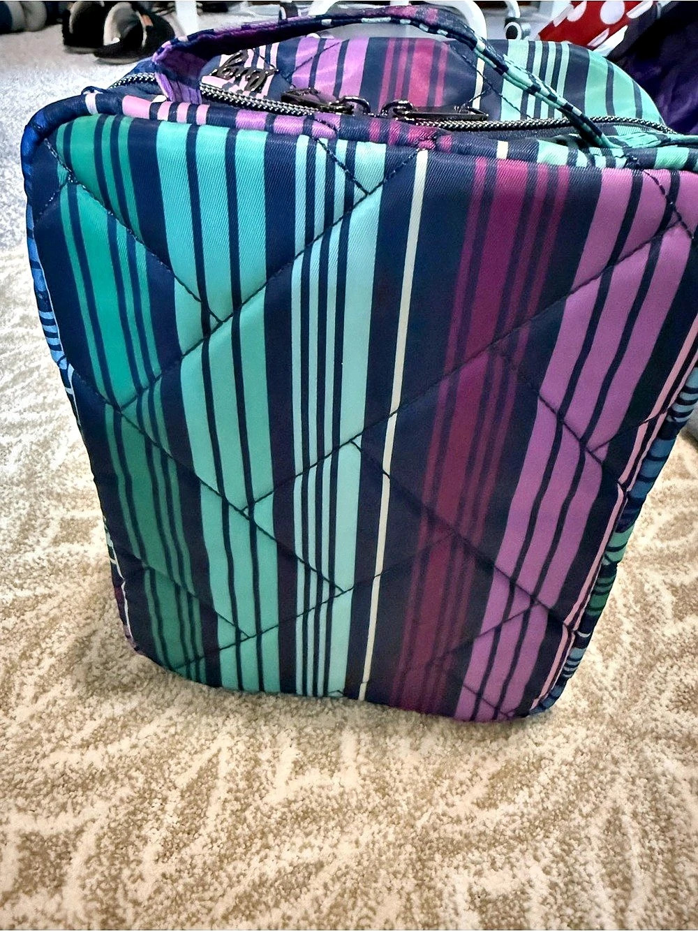 Lug Wingback Hanging Toiletry Case Love Stripe Multi NWOT